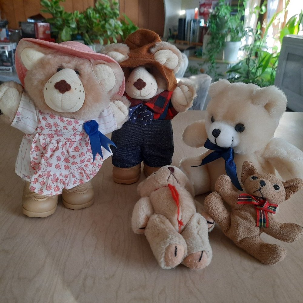 Vintage 80's Wendy's FURSKINS 7" Bears - Farrell, Hattie Set of 2 + extras!